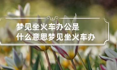 梦见坐火车办公是什么意思 梦见坐火车办公是什么意思周公解梦
