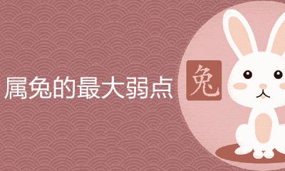 属兔的较大弱点是什么