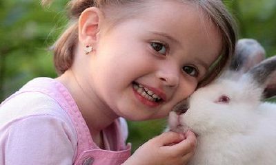 2023年兔年不适合添子的生肖有什么