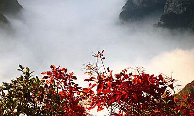 双鱼座巫山旅行将和谁邂逅?