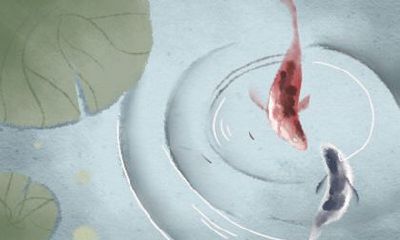 性急 原来高速上属马人都是“杀手”