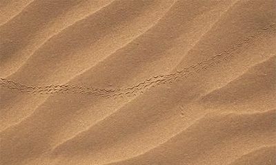 2018年8月17日出生的宝宝怎么取名?这天出生的宝宝五行论命如何?