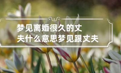 梦见离婚很久的丈夫什么意思 梦见跟丈夫离婚了预示着什么