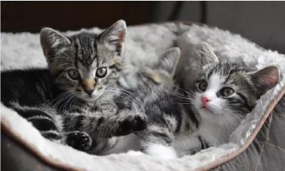 你是那种存不下钱的人吗?