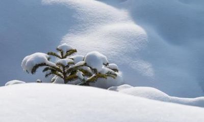 小雪要注意什么?小雪和大雪之间有什么区别?
