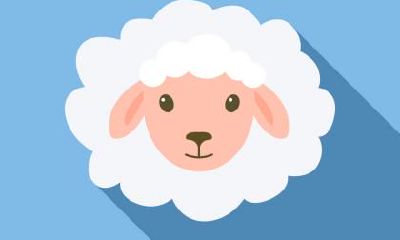 2019年小雪节气是哪天?北方传统食物有什么?