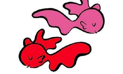 双鱼女和双子男配对