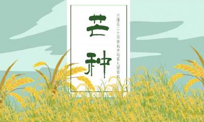 小雪节气的古诗词盘点大全