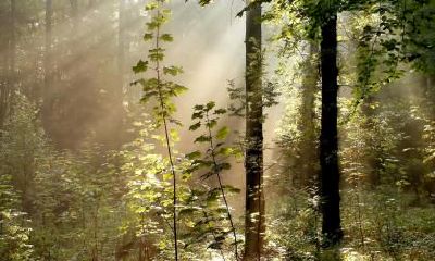 小雪是什么季节?小雪的天气特点是什么?