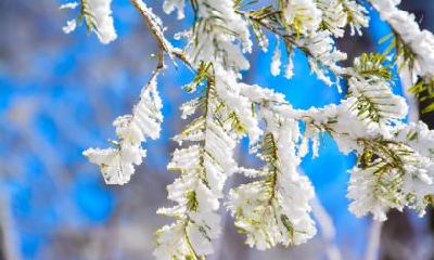 关于二十四节气小雪的谚语大全