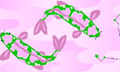 双鱼男和水瓶女配对