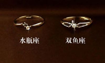 射手座和狮子座