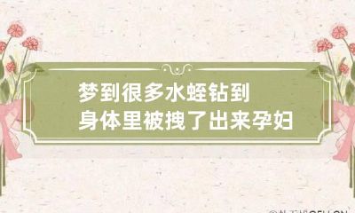梦到很多水蛭钻到身体里被拽了出来 孕妇梦到水蛭钻到身体里被拽了出来