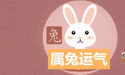 1975属兔47岁之后运气会变好吗