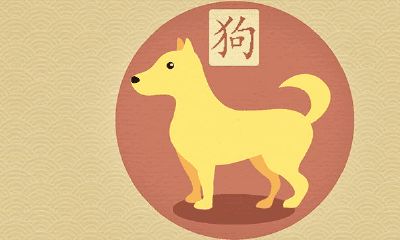 94狗和95猪八字合不