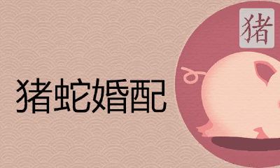 猪和蛇在一起对谁不好