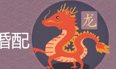 属虎属龙适合做夫妻吗