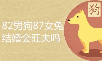 82男狗87女兔婚配好么
