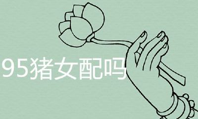 93鸡男95猪女配吗