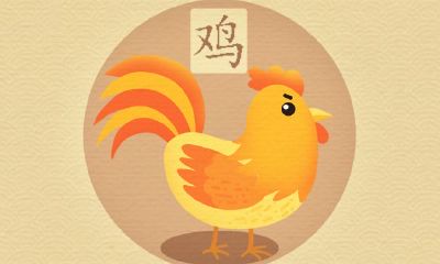 81属鸡男和87属兔女婚姻生活如何