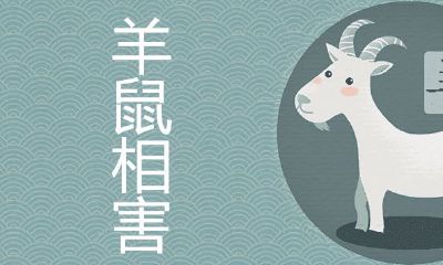 是否有羊鼠过一辈子的