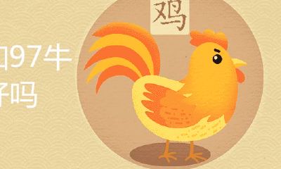 93年鸡和97牛结婚好么