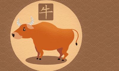 属鸡碰到属牛的财运怎样