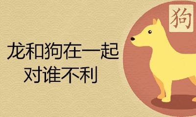 龙和狗在一起对谁不好