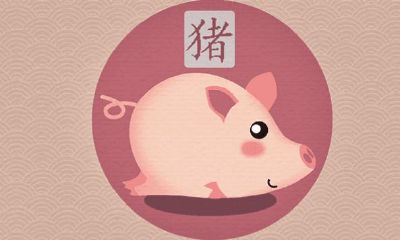 95猪男和98年虎女是上等婚姻吗