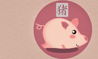 95男猪96女鼠生肖婚姻相配吗