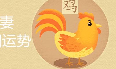 1992男猴1993女鸡配吗