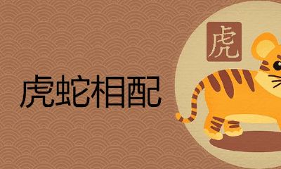 属虎和属蛇的夫妻结果是断头婚吗