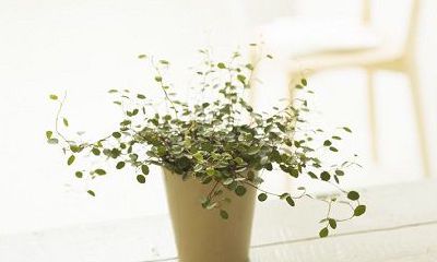 卧室风水禁忌知识