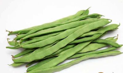 梦见菜园里爬满了长豆角