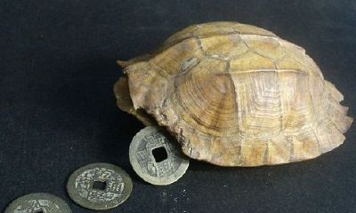 为何不要算命占卜?因为这不是根本!