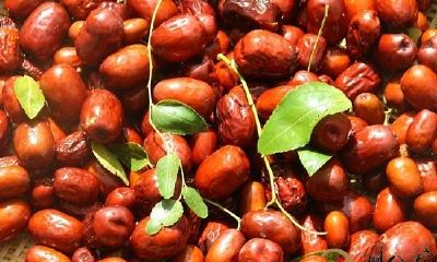 梦到自己枣大丰收