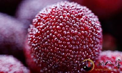 梦到又大又红的杨梅酒