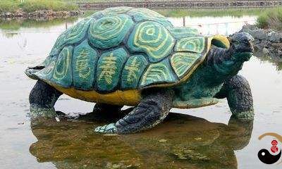 梦见乌龟走来走去