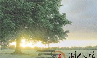 梦见下雨连接成一条线