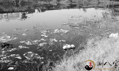 梦到自己掉浊水里了