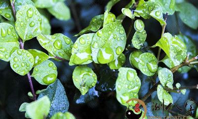 梦到降水里洗手消毒