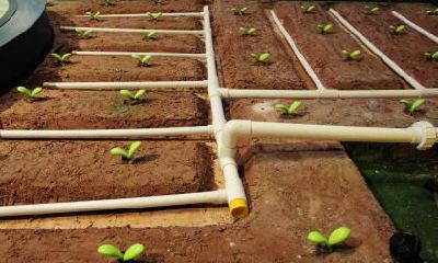 喜用神为土起名用什么字?喜用神有何作用?