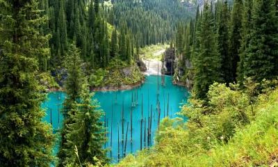 喜用神为水起名用什么字好,喜水的人怎么开运呢?