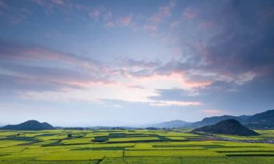 农历九月出生的男孩五行属什么?取名应该注意什么?