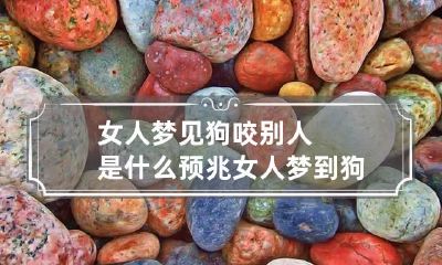 女人梦见狗咬别人是什么预兆 女人梦到狗咬别人