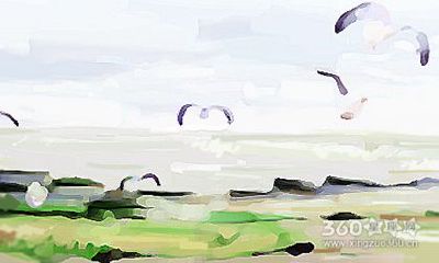 81年男鸡的婚姻 婚姻运势如何