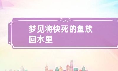 梦见将快死的鱼放回水里