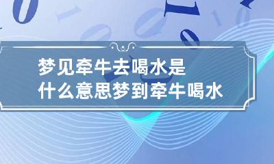 梦见牵牛去喝水是什么意思 梦到牵牛喝水是什么意思