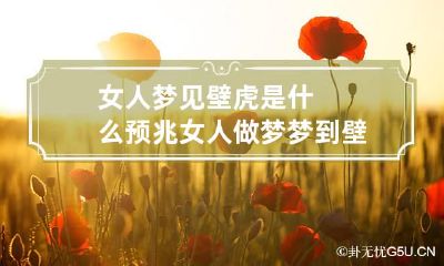 女人梦见壁虎是什么预兆 女人做梦梦到壁虎是什么意思