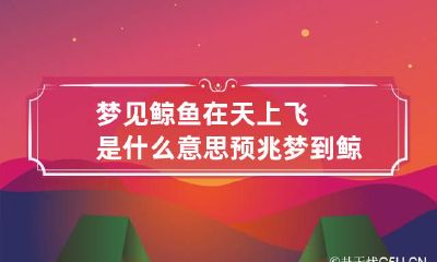 梦见鲸鱼在天上飞是什么意思预兆 梦到鲸鱼在天空飞翔